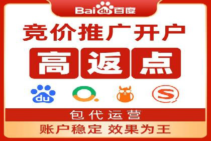 百度竞价排名实战：某行业领先企业的成功之路