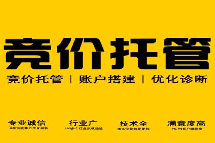深度剖析：百度竞价推广代运营在某电商平台的成功实践